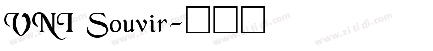 VNI Souvir字体转换